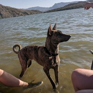 Meet your Posher, Edward